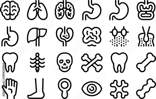 Collection of line art icons representing human anatomy and internal organs for medical and scientific illustration