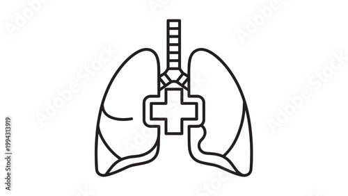 Detailed Illustration of Human Lungs with Trachea and Bronchi Anatomy.