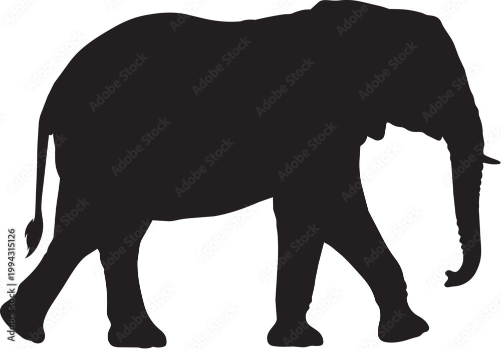 Fototapeta premium Silhouette of an adult elephant walking with a young calf beside it