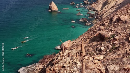 Socotra island bottle trees on rocky cliff over turquoise sea