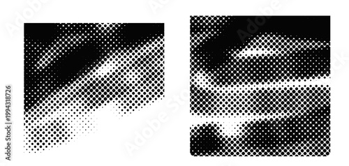 Billede på lærred Abstract wave halftone patterns with organic flow and high contrast ink