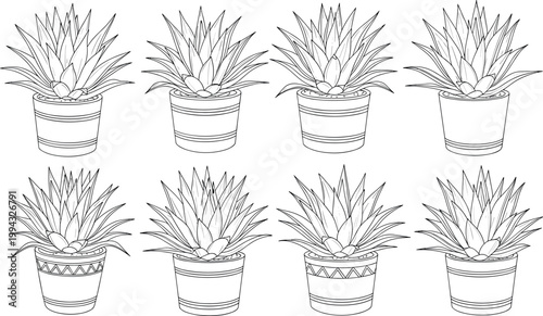 Agave Plant Pot Collection Featuring Various Arrangements for Botanical, Nature, and Home Decor Illustration Designs.