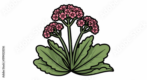 Cartoon illustration of a flowering plant with pink blossoms and green leaves