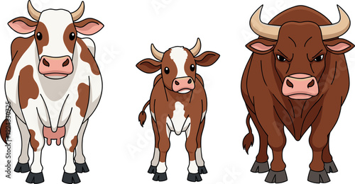 Cartoon Cow Family Set with Cow, Calf, and Bull in Various Poses for Farm, Animal, and Rural Design