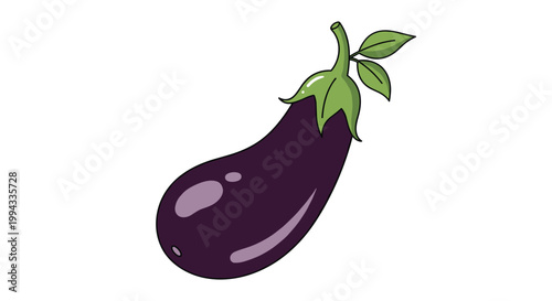 Vibrant purple whole eggplant with a fresh green stem and leaves is illustrated on a plain white background.