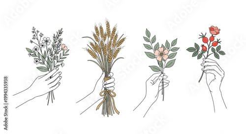 Set of four diverse hands hold different botanical arrangements including wildflowers, wheat, and rose hips in a row.