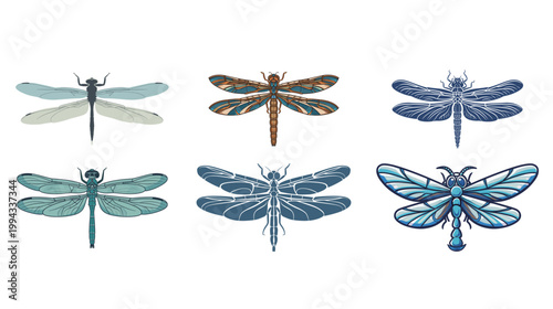 Bold dragonfly emblem wings extending outward evenly vector illustration symmetrical insect logo minimal modern nature symbol design