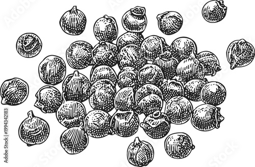 Hand drawn black and white chickpeas illustration detailed organic legume pile sketch vegetarian food concept