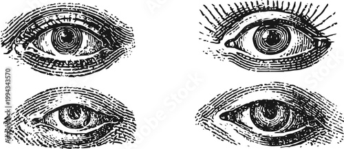 Vintage hand drawn human eyes set detailed sketch illustration of various eye expressions and angles