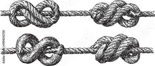 Illustration of various rope knots tied on thick twisted ropes, detailed vintage engraving