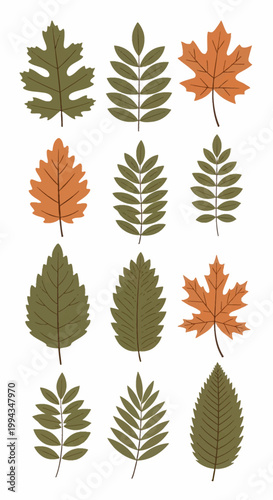 Collection of twelve stylized botanical leaf illustrations including oak, maple, and rowan species in autumn orange and forest green colors, isolated on a white background.