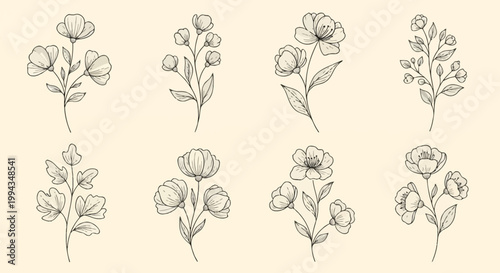 Eight minimalist hand-drawn floral sketches showing various botanical branches with delicate line art flowers, petals, and leaves isolated on a plain cream-colored background.