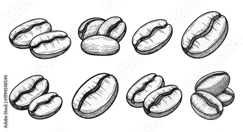 Detailed collection of hand-drawn coffee bean illustrations in a vintage engraving style, featuring various clusters and individual roasted seeds isolated on a plain white background.