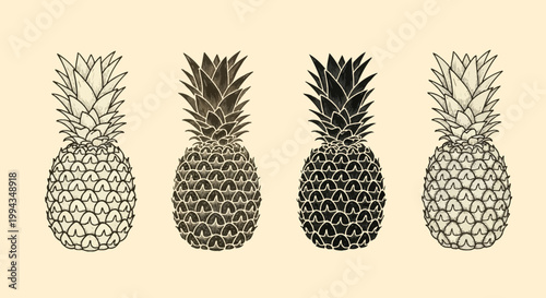 vector illustration of wheat ears