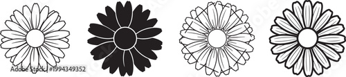 Daisy Flower Line Icons Set, Minimal Floral Outline Vector Collection for Nature and Garden Design