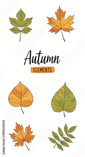 A collection of six hand-drawn autumn leaves featuring orange maple, yellow birch, and green rowan foliage on a white background with the text Autumn Elements in black script.