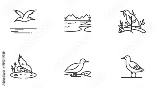 Avian Icons: A collection of meticulously crafted, minimalist line art icons, each depicting a different bird in various poses, from graceful flight to serene rest.