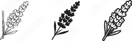 Lavender Flower Line Icons Set, Herbal Floral Outline Vector Collection for Botanical and Natural Design