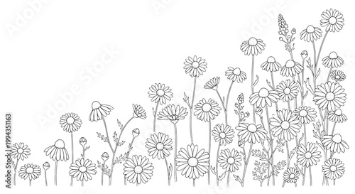 Flowers hand-drawn set with delicate lines and intricate details featuring nature, botanical, illustration with sketch and floral elements for