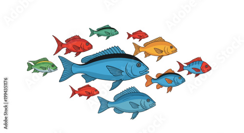 Vector illustration of a school of colorful tropical fish featuring blue, red, green, and orange species with black outlines isolated on a plain white background for design.