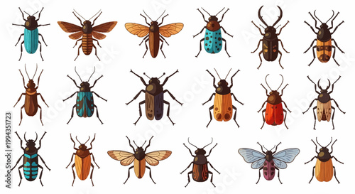 Vector collection of eighteen diverse beetle and flying insect illustrations featuring various species, colors, patterns, and wing types isolated on a white background for design.