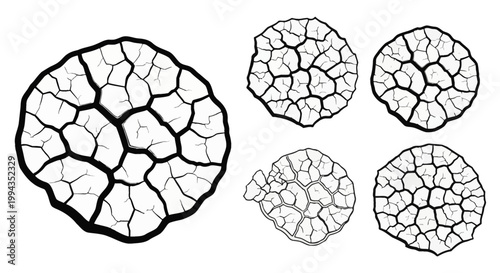 Black and white vector illustration set containing five circular patches of cracked earth textures, featuring dry parched ground patterns and mud crack designs for graphic overlays.