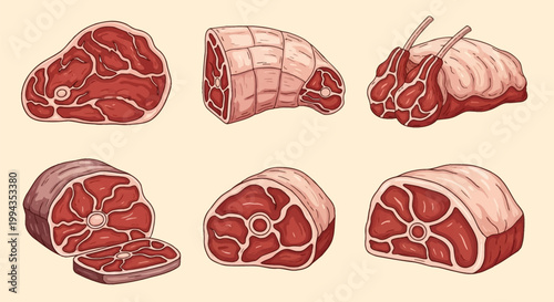 Vector illustration set of six different raw red meat cuts including beef steak, lamb rib chops, pork roast, and cross-section pieces with marbling and bone details on a plain background.