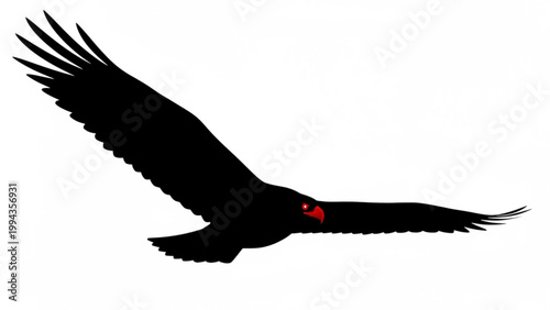 Flying Eagle Silhouette With Red Eyes