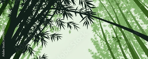 Bamboo Forest Canopy View – Green Nature Background with Tall Bamboo Trees, Lush Foliage, Serene Jungle Scene, Eco-Friendly Natural Landscape Design