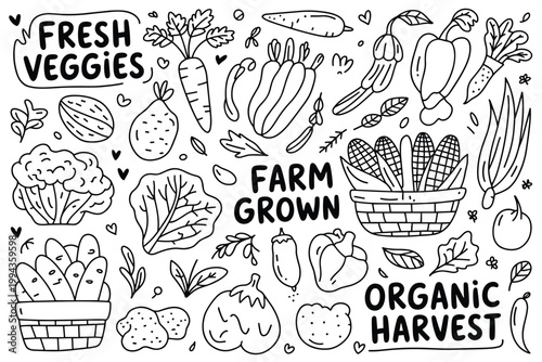 Doodle Illustration of Fresh Vegetables and Farm Grown Produce carrots broccoli