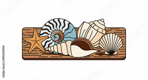 Collection of seashells and starfish on a wooden plank, depicted in a stylized, flat art manner