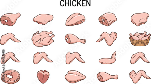 Raw chicken meat vector set featuring different cuts, wings, drumsticks and poultry parts in detailed flat illustration style