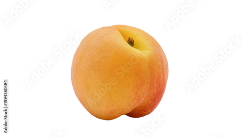 Ripe orange apricot fruit with stem and calyx