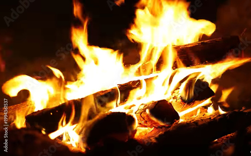 Obraz na plátně Close-up of burning firewood in a crackling campfire at night with golden flames