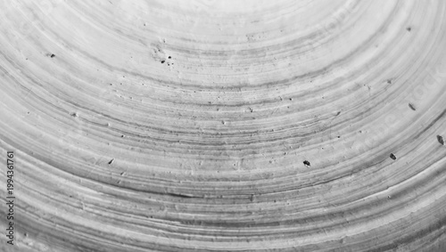 old wood texture