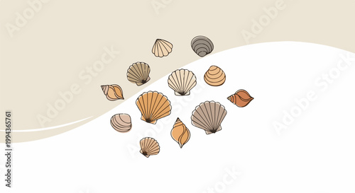 Delicate illustration of diverse seashells scattered on a soft beige and white background