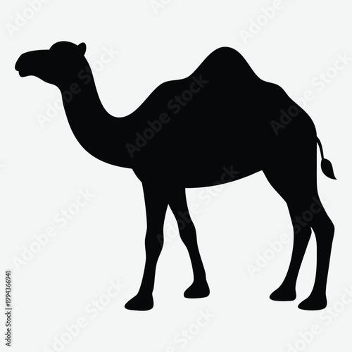 Adobe Illustrator ArtworkCamel Silhouette Vector, Dromedary Desert Animal Side View, Black Isolated Clipart