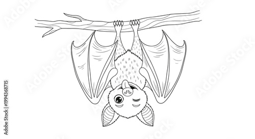 Cute bat coloring page illustration featuring a small winged mammal hanging upside down from a tree branch.