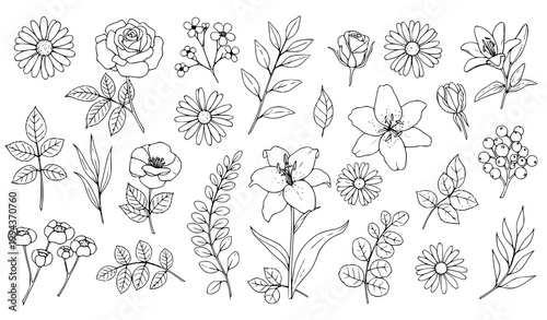 Black and white botanical sketch vector set flowers leaves berries illustration