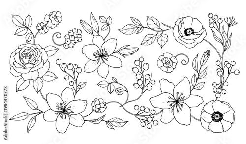 Botanical sketch vector set flowers leaves berries black white illustration