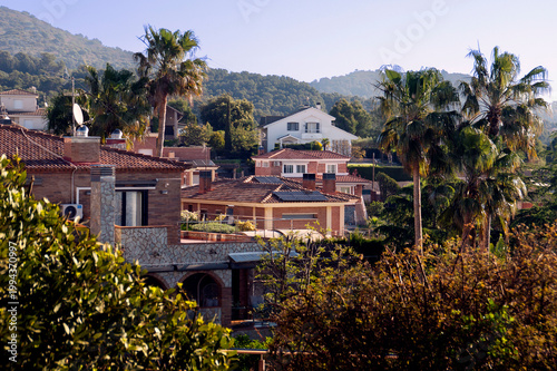 viviendas y vegetación