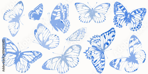 A collection of delicate blue butterflies with intricate wing patterns