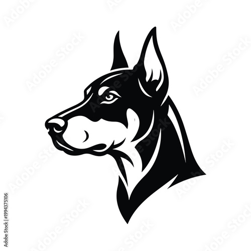 Black and white Doberman dog 1.