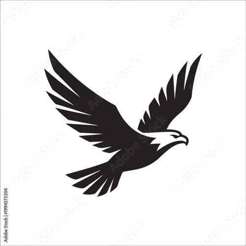 Black Eagle Bird Flying Silhouette.