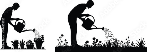 Silhouette of a person watering plants and flowers with a watering can home garden plant care