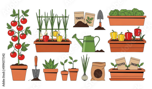 Balcony garden vector set urban gardening vegetables pots spring planting