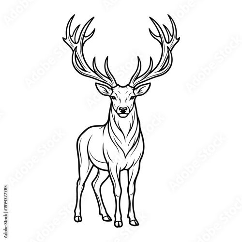 Large Antlered Deer Standing Alone.