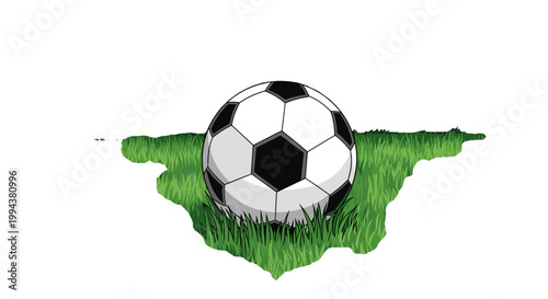 Soccer ball resting on grass with a green background