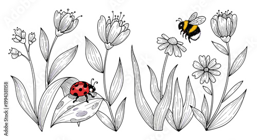 Black and white illustration of insects and flowers in nature