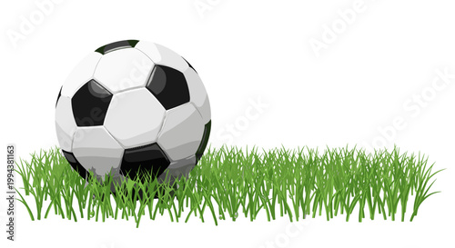 Soccer ball resting on green grass with
